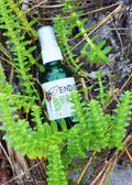 Herbal Bug Spray